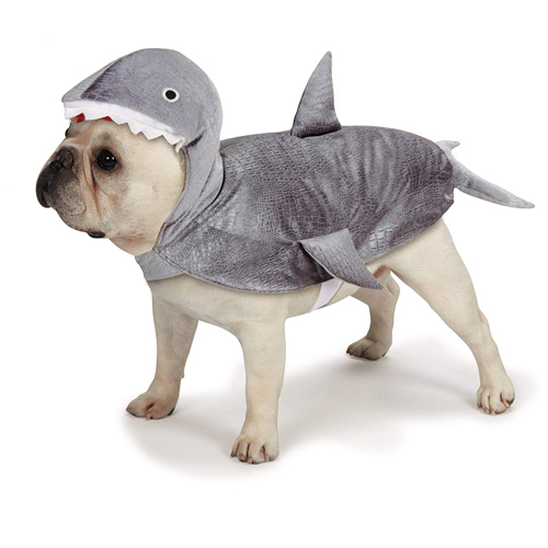 shark dog