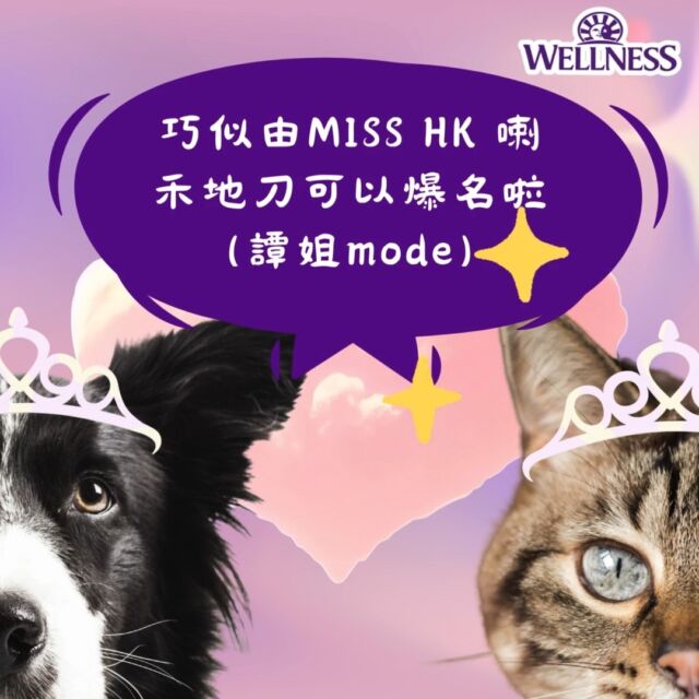 仲唔快啲提名心水佳麗？😬
諗落遲下都可搞個miss wellness🤪出生地域，品種不限架🤣
#wellness #wellnesshk #missdoggy #missmeowmeow #提名佳麗 #core #petfood #選美 #misswellness