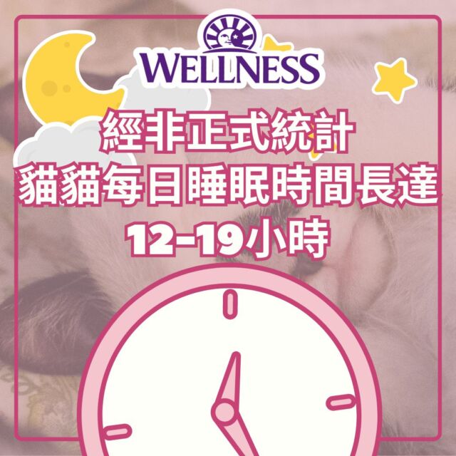 所以係正常架😶大家放心
可憐小編連主子3分1睡眠時間都冇😂
#wellness #wellnesshk #主子 #睡眠時間