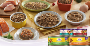 Healthy pet food Singapore