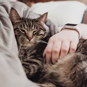 at snuggling with person