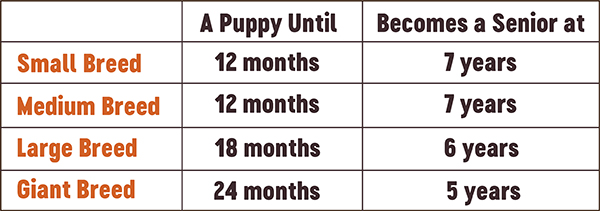 senior pet chart