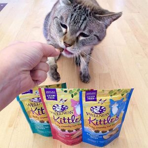 Cat eating grain free Wellness Kittles
