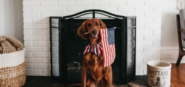 pets and 4th