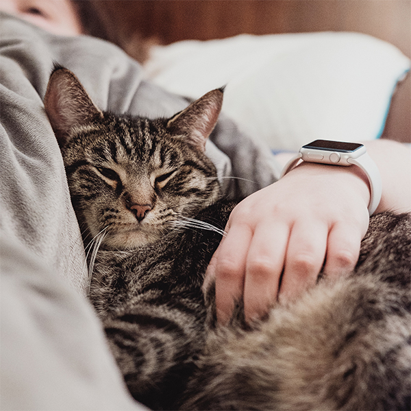 person snuggling with cat