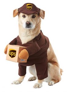 delivery dog