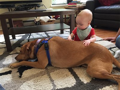 dog and baby