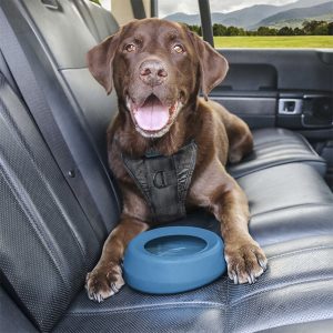 Kurgo Travel Splash Free Dog Bowl