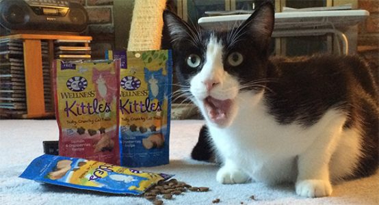 Wellness Kittles Cat Treats 3