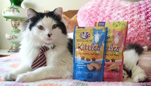 Wellness Kittles Cat Treats 10