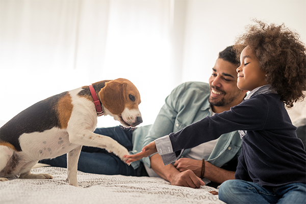 family with dog