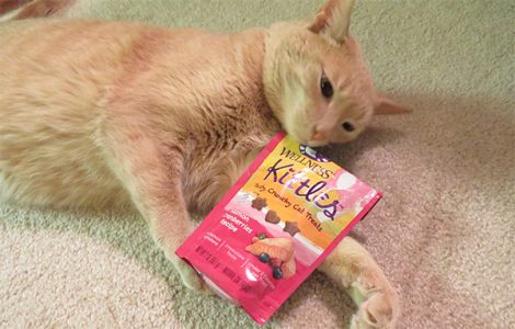 Wellness Kittles Cat Treats 9