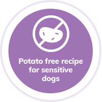 dog-potato-free