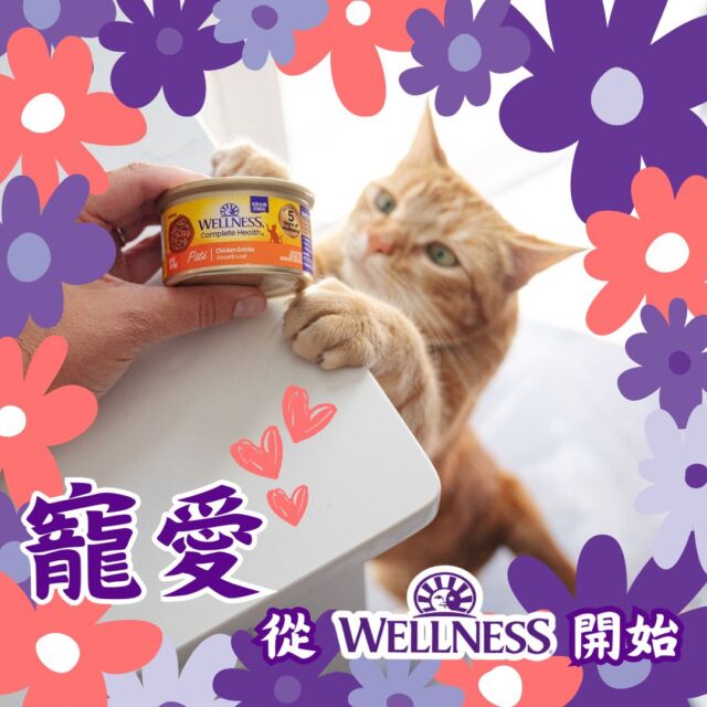 選擇一個優質、天然的寵物糧食至關重要
寵愛從WELLNESS開始
將寵物的健康與幸福放在首位！
#wellness #wellnesshk #cat #wetfood #寵愛 #寵愛毛孩 #罐罐 #completehealth #pate